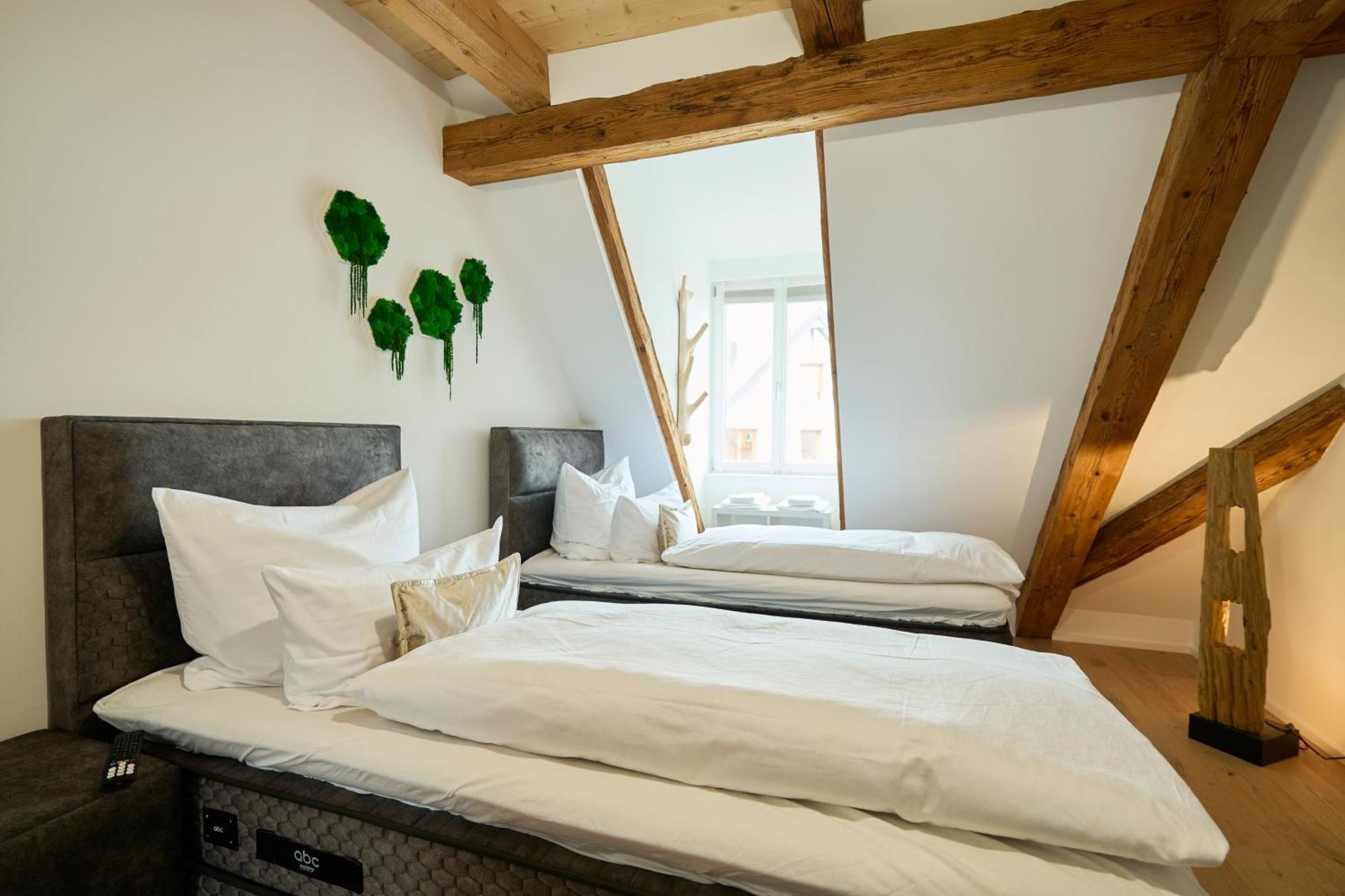 Wood World Luxury - Massage - Bergblick - Tranpolin- Parken Apartment Markdorf Exterior photo