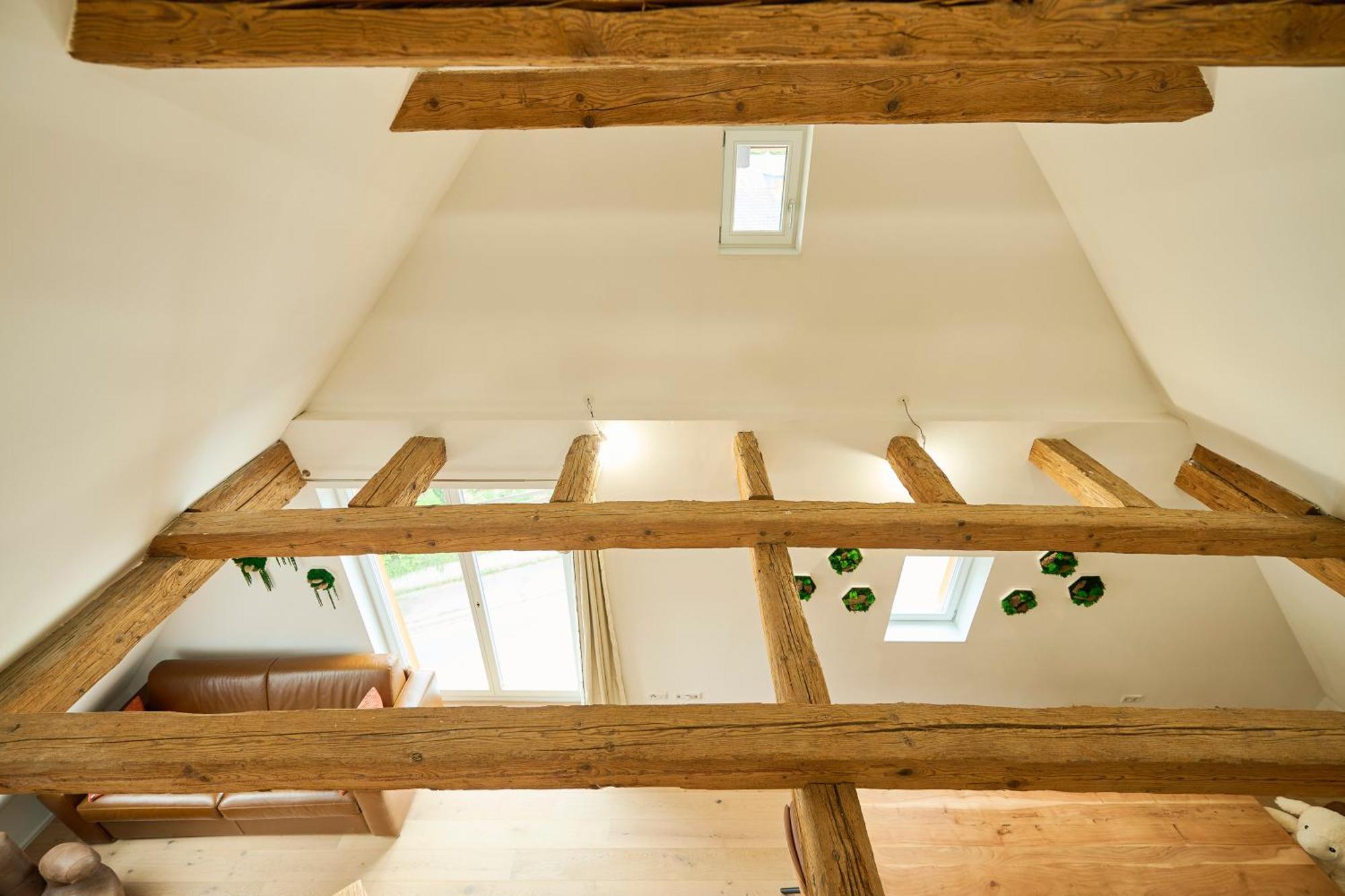 Wood World Luxury - Massage - Bergblick - Tranpolin- Parken Apartment Markdorf Exterior photo